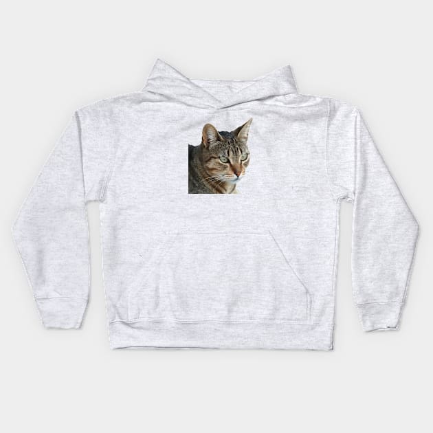 Stunning Tabby Cat Close Up Portrait Vector Isolated Kids Hoodie by taiche